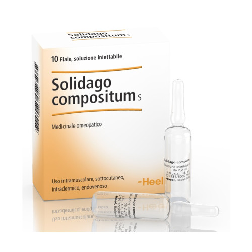 Heel solidago compositum 10 fiale da 2,2 ml l'una