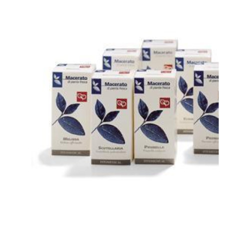 Amamelide tintura madre 100 ml