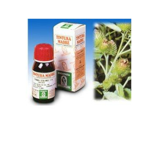 Bardana 50ml tm