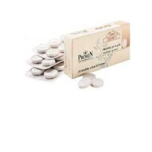 Coro erisimo 24 compresse 28,8 g
