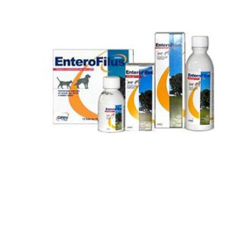 Enterofilus 12 x 10 ml