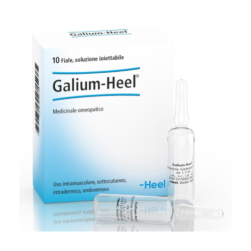 Heel galium 10 fiale da 1,1 ml l'una