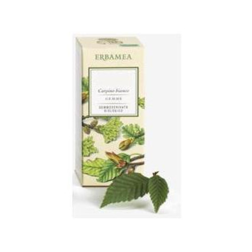 Ribes nigrum gemme gemmoderivato bio 50 ml