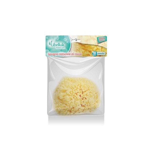 Libellule spugna naturale mare 12