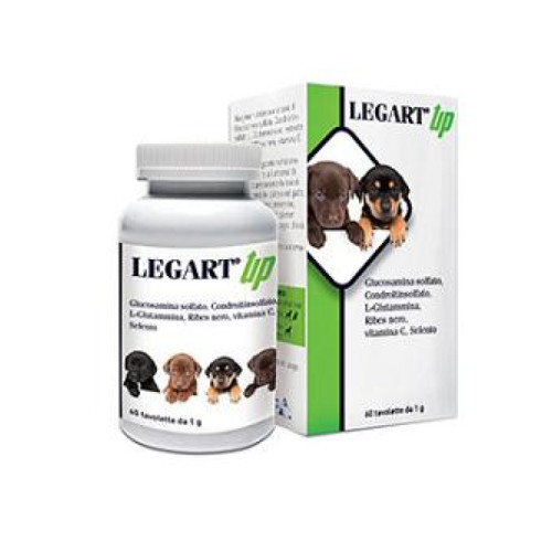 Legart up 60 compresse da 1 g