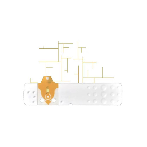 Strisce misurazione glicemia linea d oro 25 pezzi