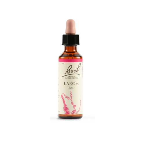 Larch bach orig 20 ml
