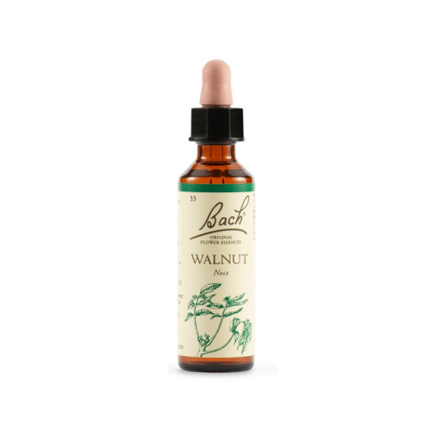 Walnut bach orig 20 ml