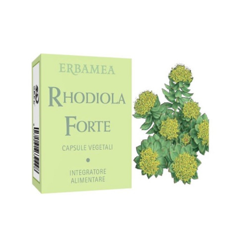 Rhodiola forte 24 capsule