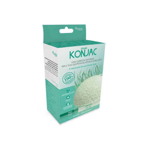 Libellule konjac viso aloe