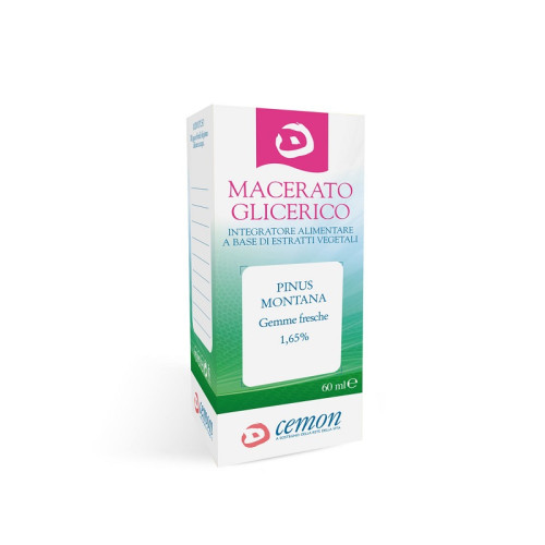 Pinus montana gemme macerato glicerico 60 ml