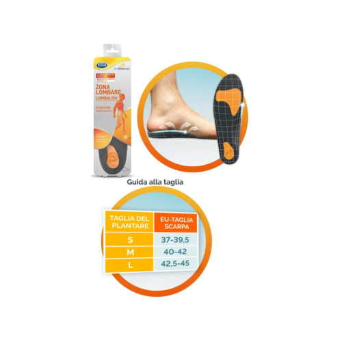 Scholl plantare lombare l 1 paio